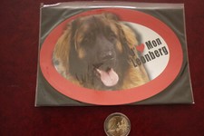 GRAND MAGNET CHIEN  /  LEONBERG   * 14,8 CM X 10 CM *