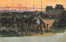 CP ILLUSTREE CAMPEMENT