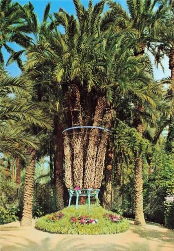 Espagne elche huerto del cura - espagne,