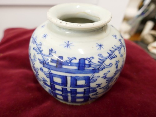 Petit pot gingembre chinois - gingembre,