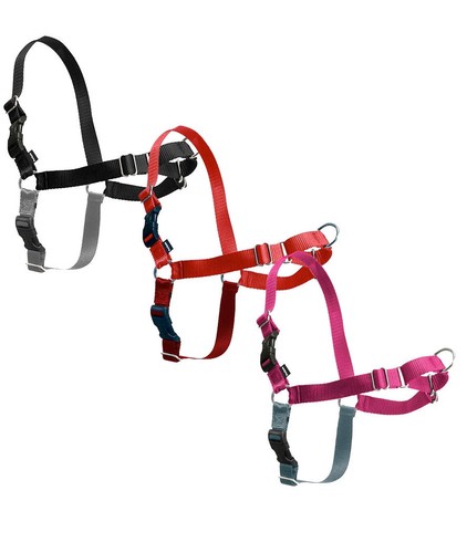 Harnais pour chien - , modèle