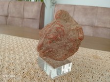 Grande tète de félin en