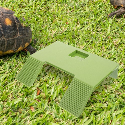 Accessoires pour tortues - pour,