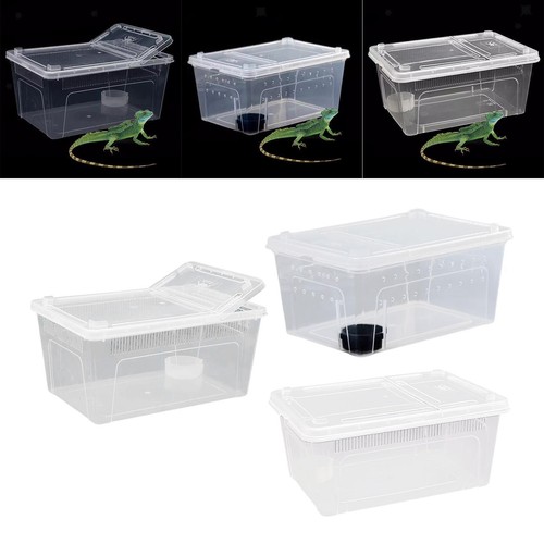 Boîte élevage terrarium - boîte,