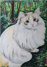 Dessin au crayon chat A4