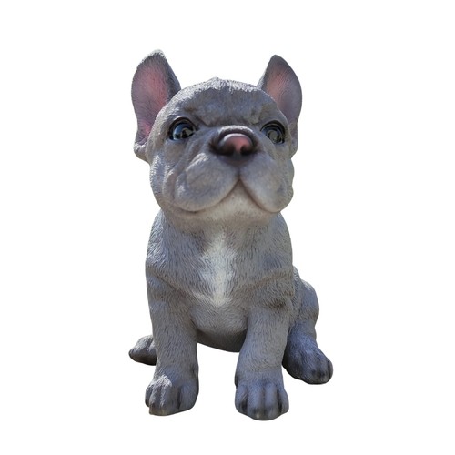 Pet pals décoration - pet, maison