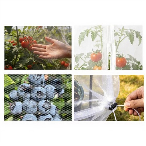 4pcs filet oiseau jardin - oiseau,