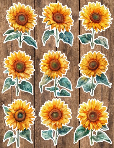 Sunflowers die cut - die,