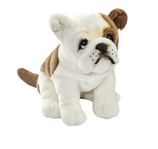 Anima 1643 Bouledogue