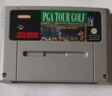 PGA TOUR GOLF PAL FAH SUPER