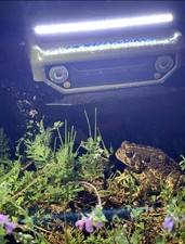 Axial 1/10 SCX10 || Deadbolt