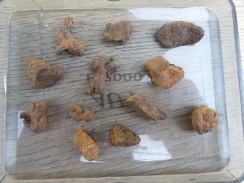 Lot 12 meteorites - ,