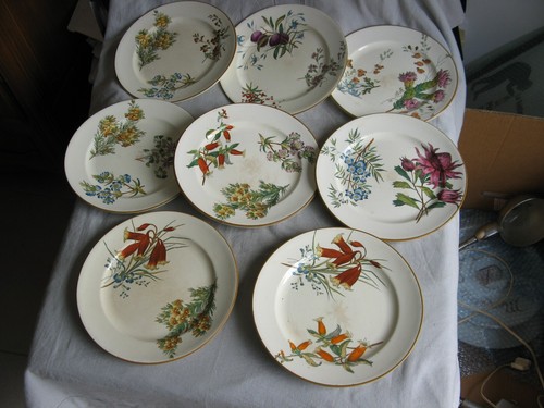 Rare assiettes polychrome du - 8,