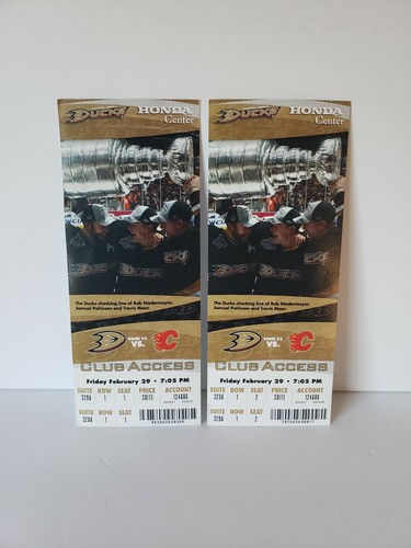 2008 anaheim ducks full suite - ducks,