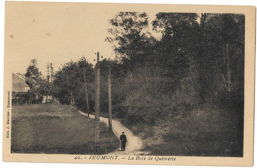 Fr59 jeumont bois - jeumont,