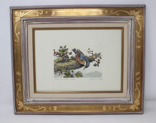 Tableau pointe seche - pointe, sitelle