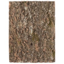  Fond de Terrarium en liège