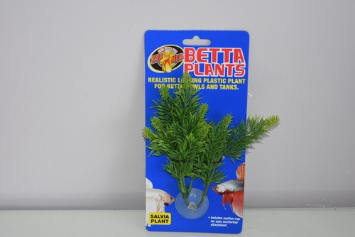 Aquarium betta plante - plante, petit
