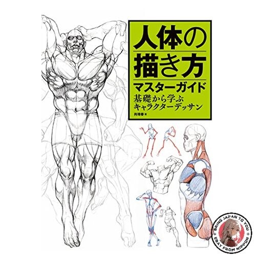 Guide principal pour - , dessiner