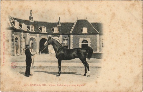 Cpa haras pin flacon - haras,
