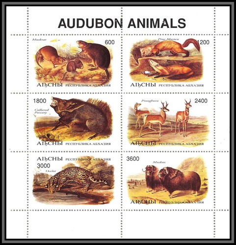 80942 urss russia - , audubon