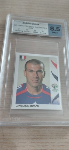 Zinédine zidane panini - zidane,