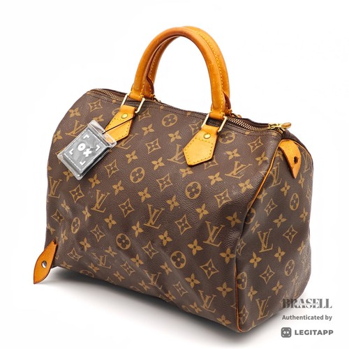 Sac main louis vuitton - main,
