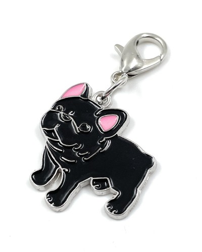 Bouledogue chien animal - chien,