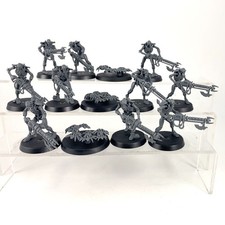 x13 Guerriers + Scarabés