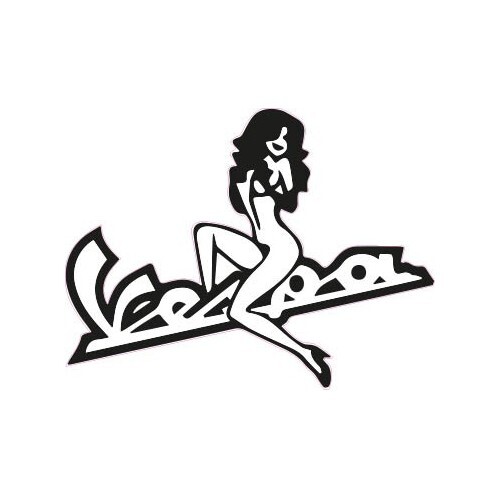 Pin vespa moto - pin,