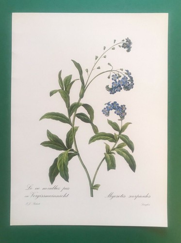 Gravure pierre joseph - de,