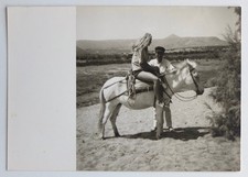 Jeune femme cheval blanc poney cheux vent - Photo vintage snapshot 1967