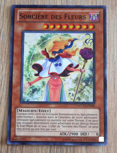 Carte sorcière - ,