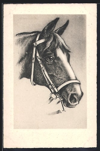 Cheval équitation avec - d'équitation,