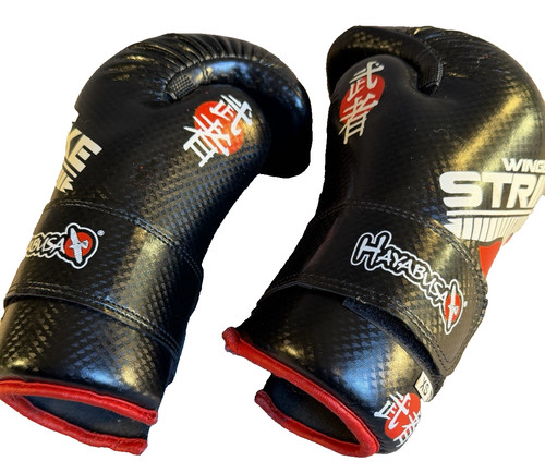 Hayabusa Winged Strike