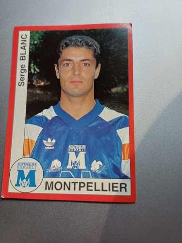 Panini football 1995 serge - 1995,