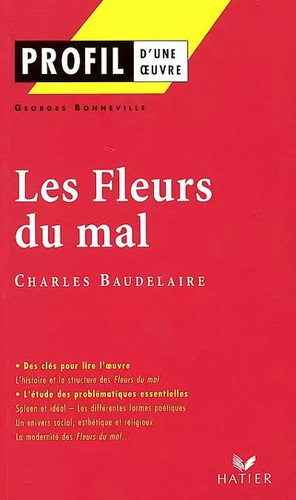 Profil une oeuvre - profil, d'une