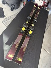 Fischer RC4 World Cup GS Skis