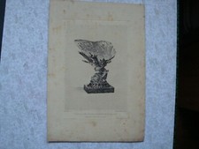 COQUILLE DE GIRASOLE eau forte