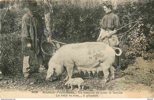 Carte postale ancienne - ancienne,