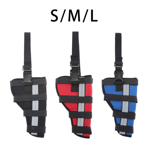 Attelle jambe chien - attelle, de