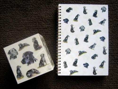 Note cube and spiral - cube,