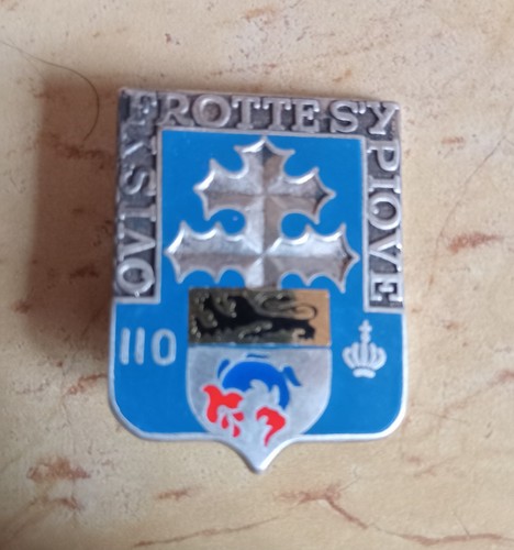 Insigne 110 e - ri,