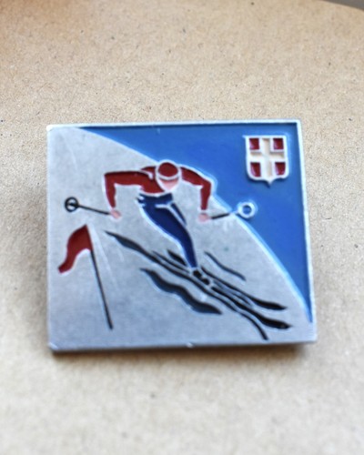 Bel insigne broche - insigne,, ski