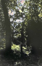 Jean Claude Chastaing