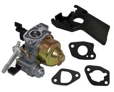 Carburateur pour moteur Loncin