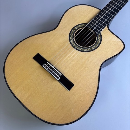 Takamine dmp370nc nylon string - takamine,