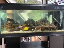 aquarium avec meuble