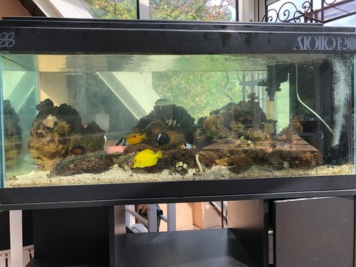 Aquarium avec meuble - aquarium,