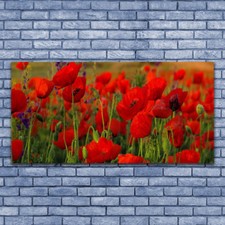 Impression sur verre acrylique